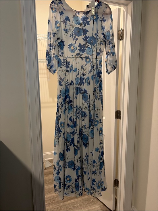 Dresses & Skirts - Blue Floral Maxi Dress with Sheer Sleeves